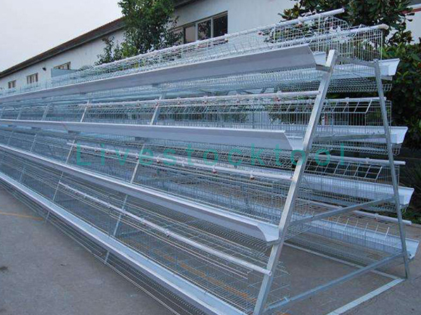 Broiler cage design