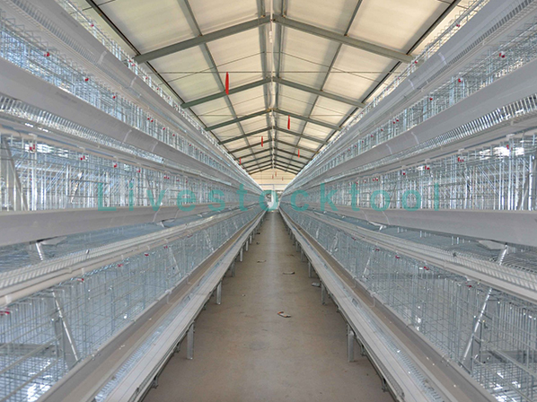 chicken coop