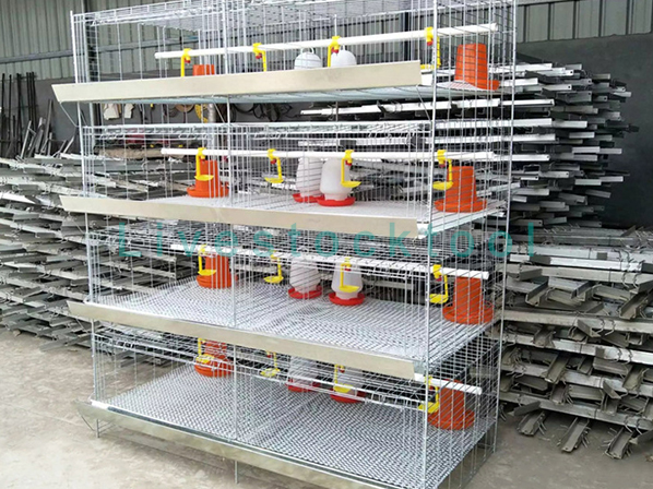 hicken cage