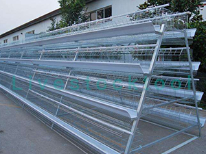 Broiler cage with A type