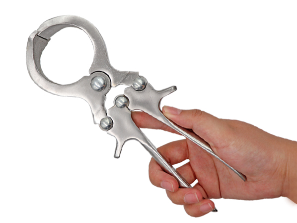 pig castration tool