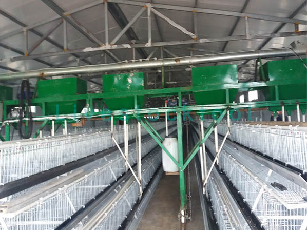 poultry feed machine 