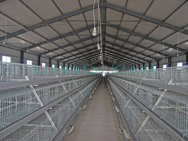 Broiler cage design