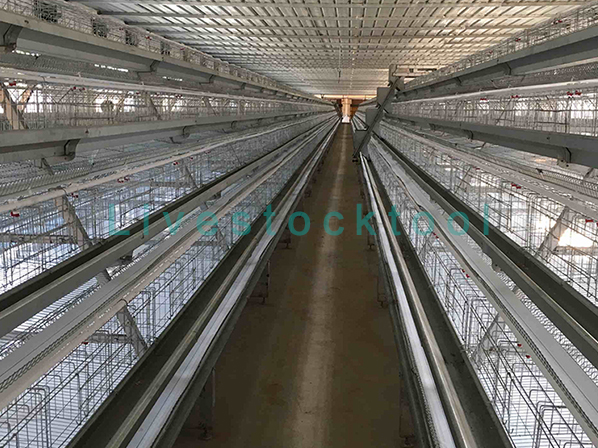 chicken pen 