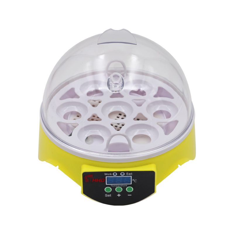 Mini chicken egg incubator for sale