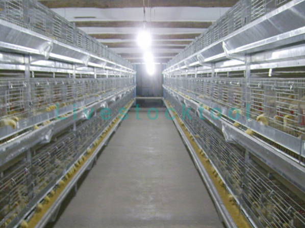 chicken pen