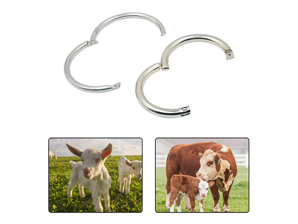 Calf weaner nose ring 