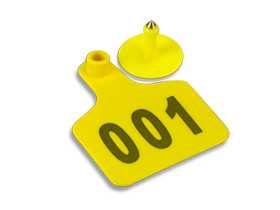 Cattle Ear Tag