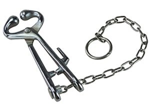 Cattle cow nose ring holder
