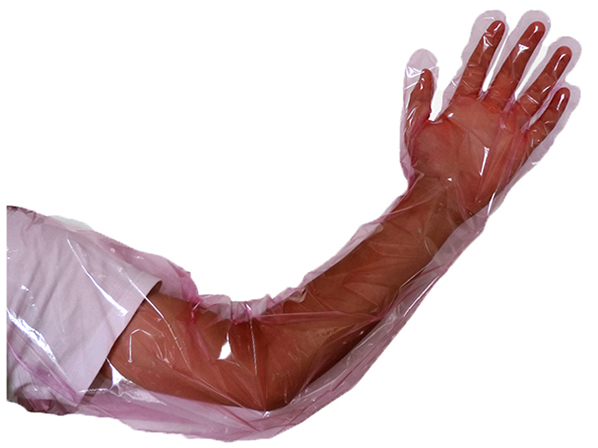 Artificial insemination long glove