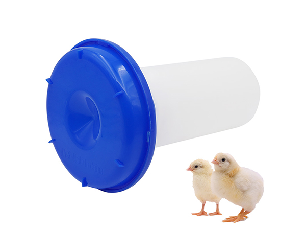 automatic chicken feeders 
