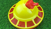 Chicken water feeder automatic