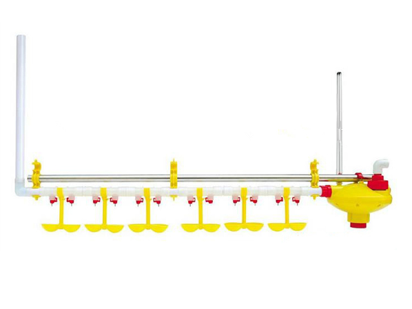 automatic chicken watering system