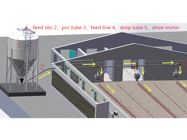 automatic chicken feeders