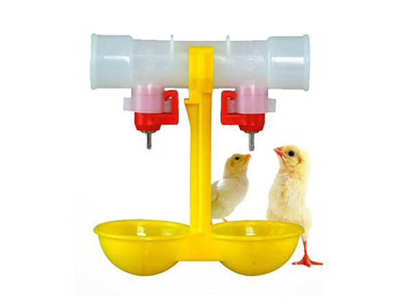 chicken watering system