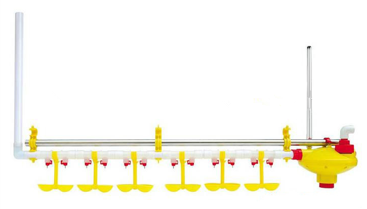 Automatic poultry chicken watering system