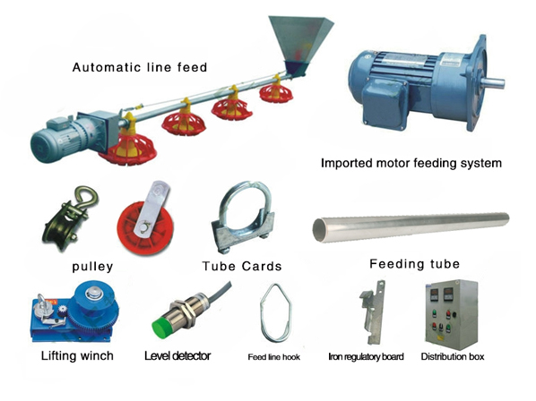 automatic chicken feeder system