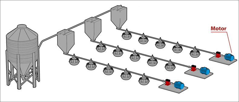 automatic chicken feeder system