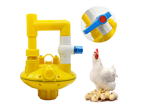 Poultry chicken water pressure regulator