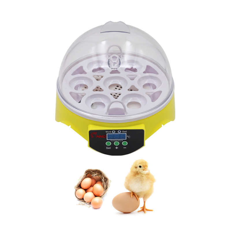 mini egg incubator