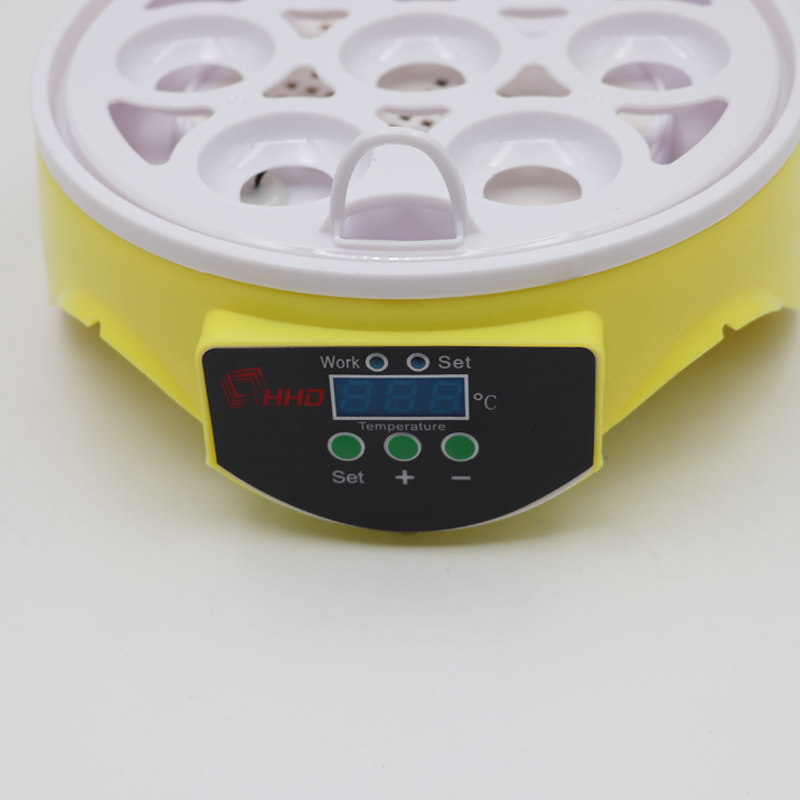 mini egg incubator