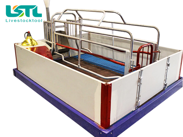 gestation crate
