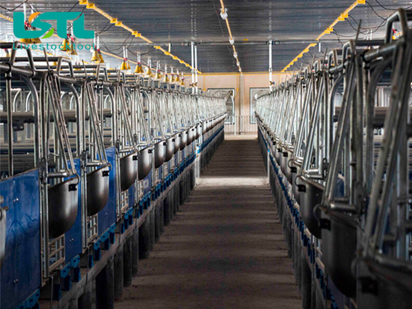 Pig farrow gestation crates