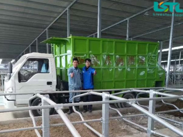 cattle feed spreader