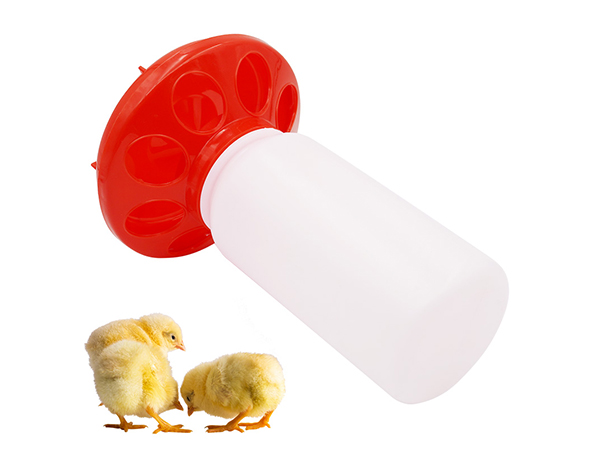 chicken drinkers automatic