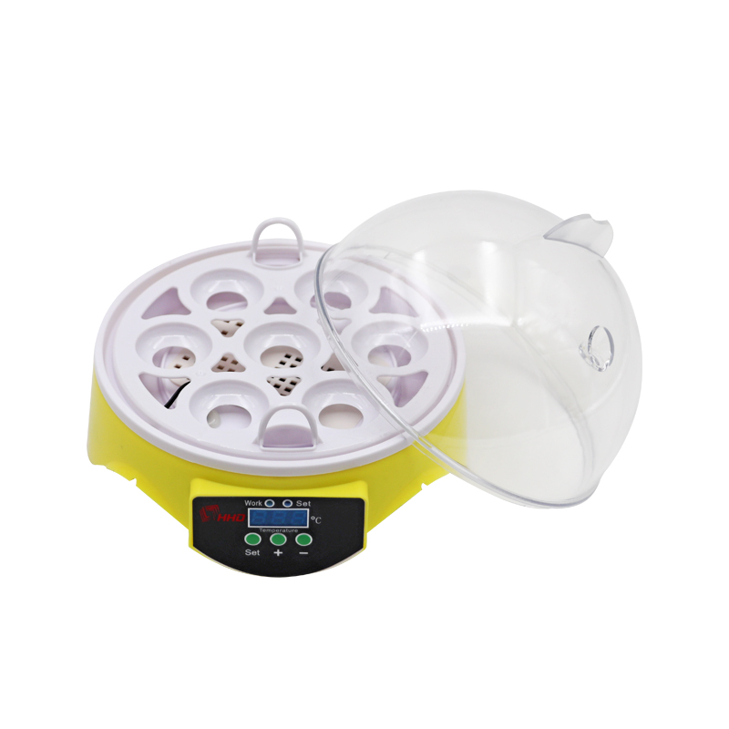 mini egg incubator price