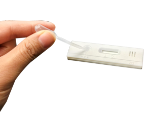 Pig pregnancy test strips