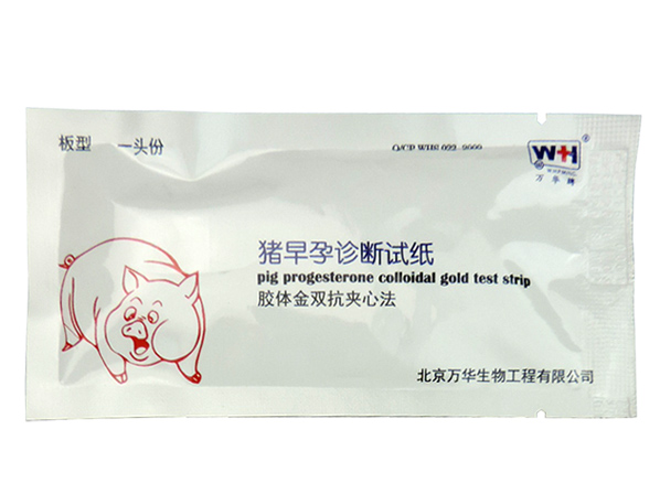 pig urine pregnancy test