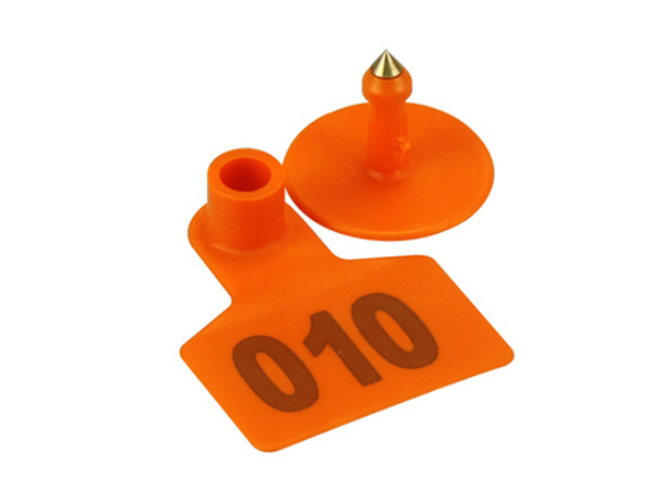 pig ear tags 