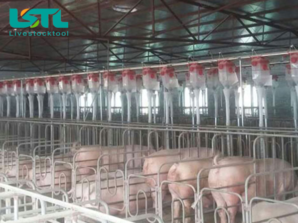 pig feeding systems