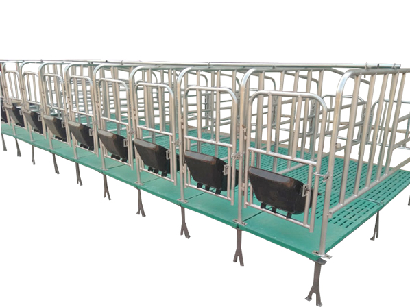 Pig farrowing crates column