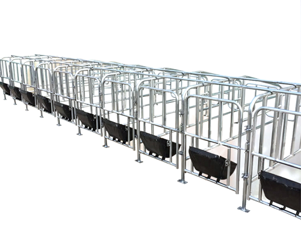 Pig farrowing crates column 