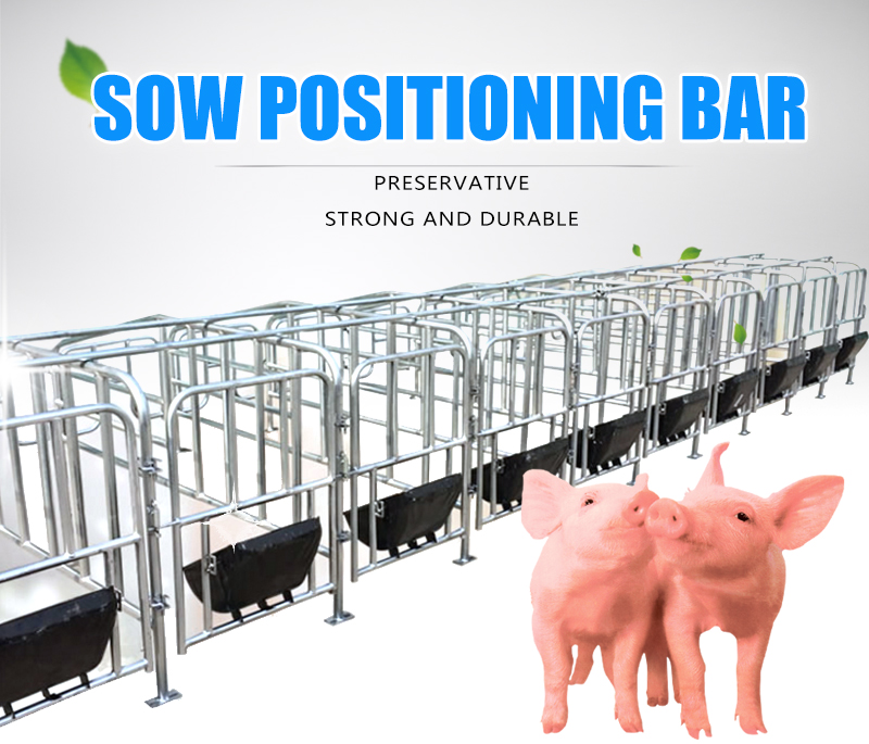 pig farrowing crate 