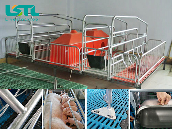 gestation crates 