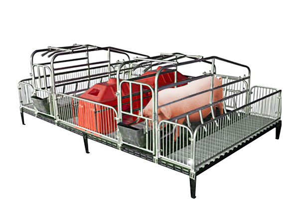 sow farrowing crate