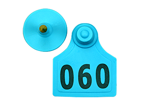 pig ear tags suppliers