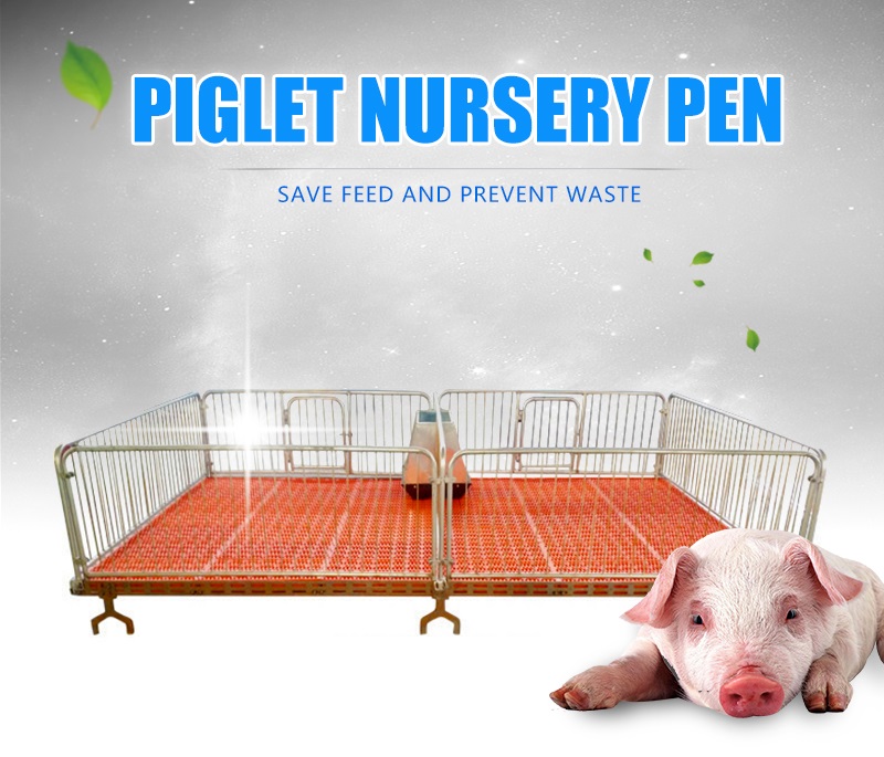 Pig nursery pen