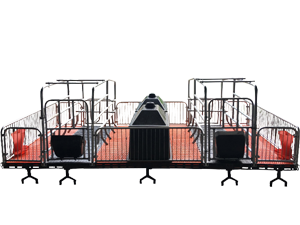 Pig farrowing crates