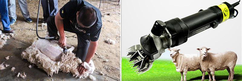 electric sheep clippers