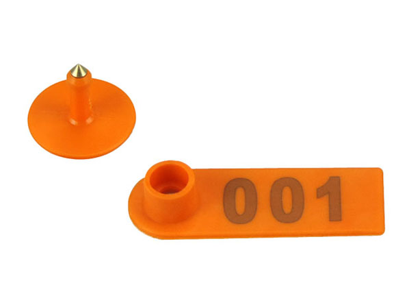 Sheep ear tag