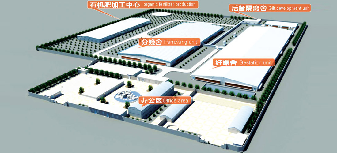 Pig farm layout design