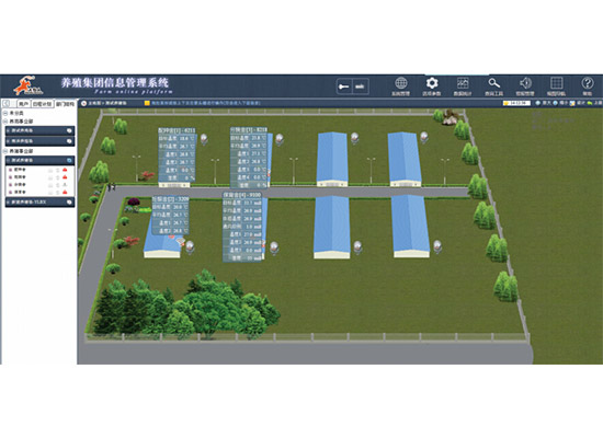 Pig farm layout design