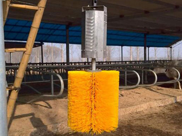 automatic cow brush price
