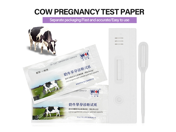 cattle pregnancy test kit